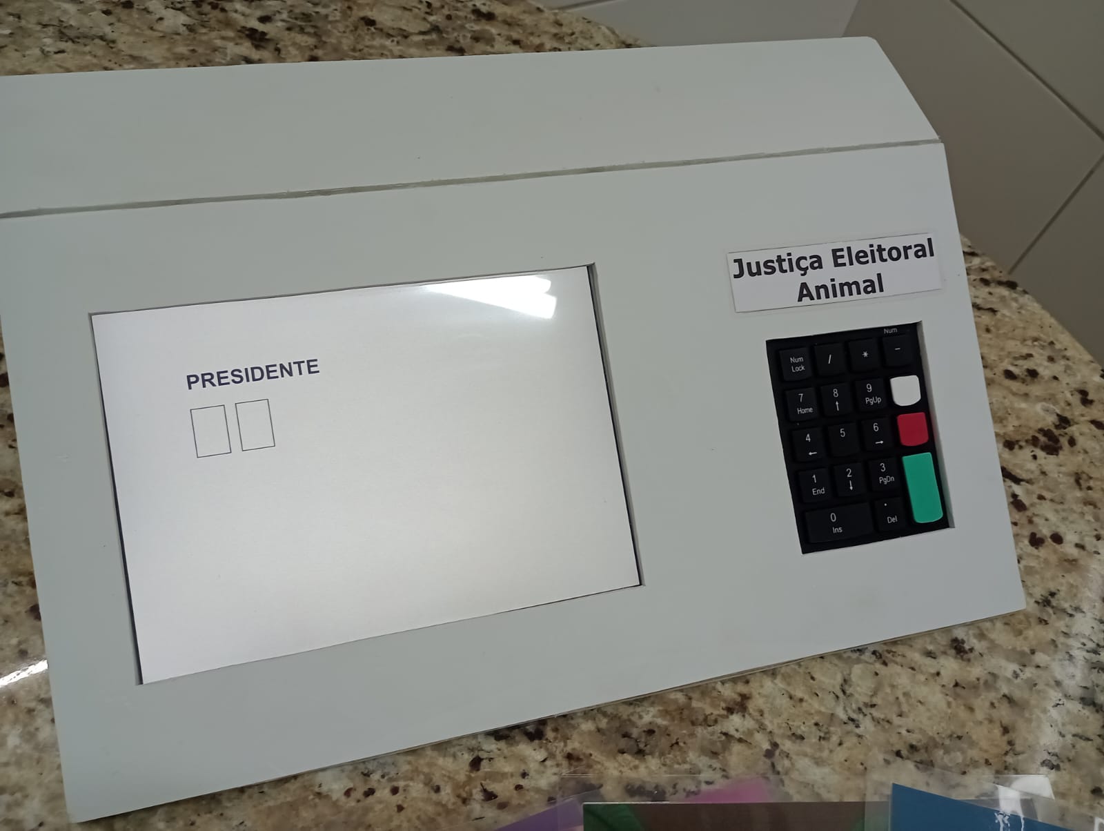 Imagem da tela de votação vazia 2